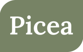 Picea Amsterdam